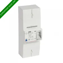 Legrand - Disjoncteur de branchement EDF 60/90A sélectif - 500mA - bipolaire - 401005